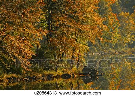 Stock Image - Autumn scenic. Fotosearch