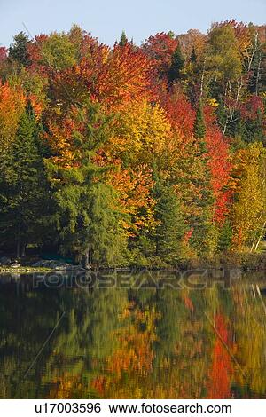 Stock Photograph - Body of water in autumn. Fotosearch