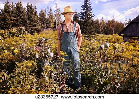 Boy with overalls View Large Photo Image Stock Photo - Boy with overalls. Fotosearch