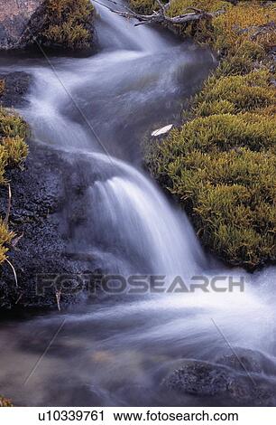 Stock Image - Cascading waterfall, Denali National Park, Alaska, USA. Fotosearch