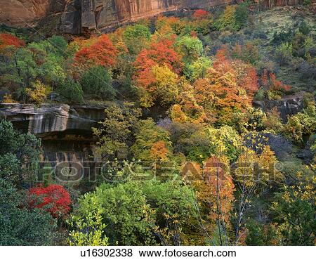 Cliff side in autumn View Large Photo Image Stock Photo - Cliff side in autumn. Fotosearch