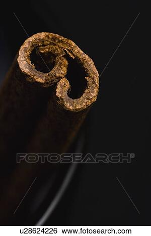 Closeup of a cinnamon stick View Large Photo Image Stock Photograph - Closeup of a cinnamon stick. Fotosearch
