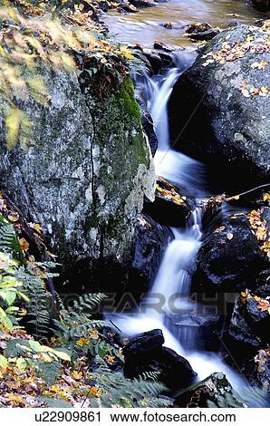 Closeup of a trickling stream View Large Photo Image Stock Image - Closeup of a trickling stream. Fotosearch