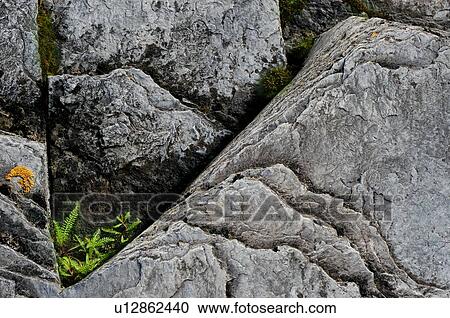 Stock Image - Closeup of rocks. Fotosearch