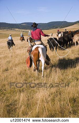 Picture - Cowboy with a lasso. Fotosearch