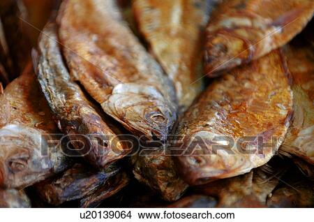 Dried fish View Large Photo Image Picture - Dried fish. Fotosearch