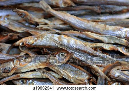 Stock Image - Dried fish. Fotosearch