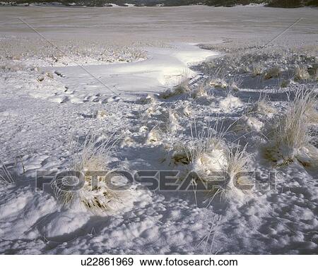 Stock Photo - Fresh snow on Valle Grande. Fotosearch