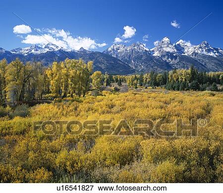 Stock Photo - Grand Teton Mountains in autumn. Fotosearch