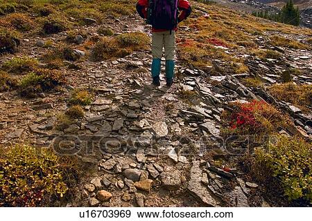 Hiker on trail View Large Photo Image Stock Photo - Hiker on trail. Fotosearch
