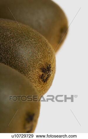 Stock Photo - Kiwi fruit. Fotosearch