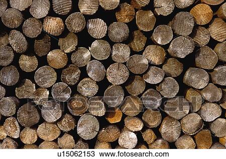 Stock Image - Logs in a pile. Fotosearch