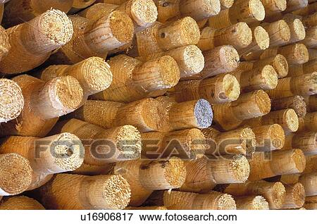 Stock Photo - Logs in a pile. Fotosearch
