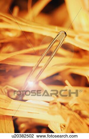 Stock Image - Needle in a haystack. Fotosearch