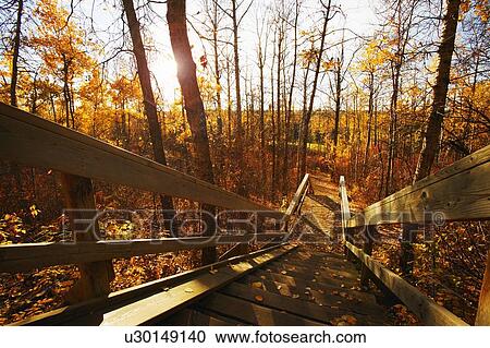 Outdoor staircase View Large Photo Image Stock Image - Outdoor staircase. Fotosearch