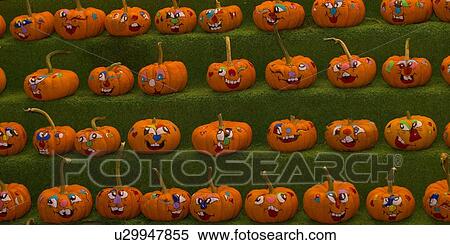 Pumpkins in a row View Large Photo Image Stock Photography - Pumpkins in a row. Fotosearch
