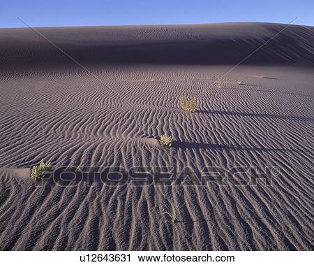 Rippled desert landscape, Great Sand Dunes National Monument, Colorado, USA View Large Photo Image Stock Image - Rippled desert landscape, Great Sand Dunes National Monument, Colorado, USA. Fotosearch