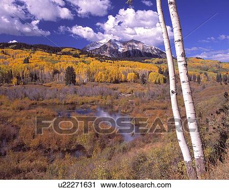 Rocky Mountains, Gunnison National Forest, Colorado, USA View Large Photo Image Stock Image - Rocky Mountains, Gunnison National Forest, Colorado, USA. Fotosearch