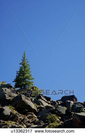 Rocky slope View Large Photo Image Stock Photo - Rocky slope. Fotosearch