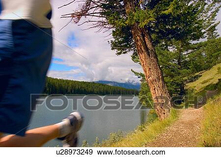 Runner on trail View Large Photo Image Stock Photo - Runner on trail. Fotosearch