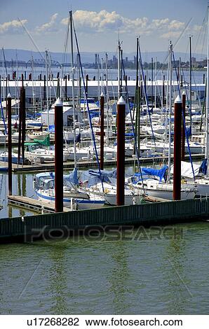 Sailboats in marine View Large Photo Image Stock Image - Sailboats in marine. Fotosearch