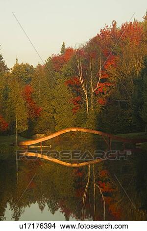 Picture - Scenic bridge in park. Fotosearch