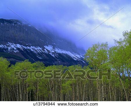 Scenic landscape View Large Photo Image Picture - Scenic landscape. Fotosearch