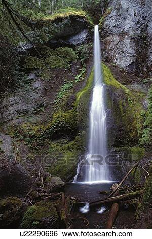 Scenic waterfall View Large Photo Image Stock Photograph - Scenic waterfall. Fotosearch