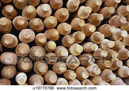 Shaped wooden logs in a pile View Large Photo Image Stock Photograph - Shaped wooden logs in a pile. Fotosearch