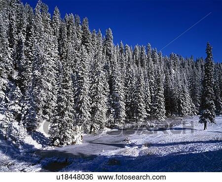 Snow covered trees and creek View Large Photo Image Stock Photograph - Snow covered trees and creek. Fotosearch