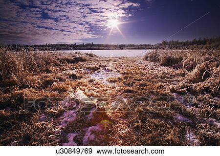Stock Photo - Snowy field of grass. Fotosearch