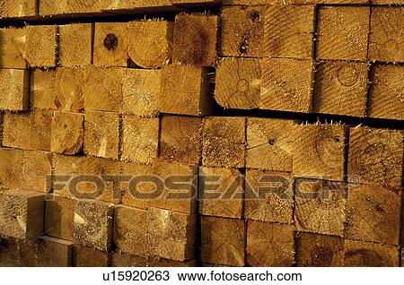 Stacks of logs View Large Photo Image Stock Image - Stacks of logs. Fotosearch