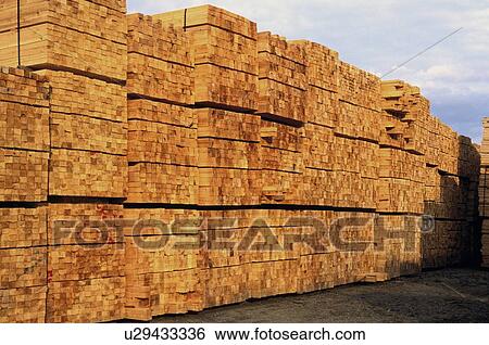 Stacks of wood View Large Photo Image Stock Photograph - Stacks of wood. Fotosearch