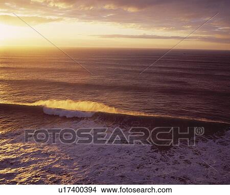 Picture - Sunset and Pacific Ocean waves. Fotosearch