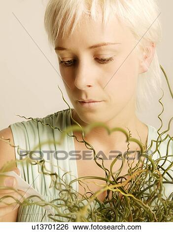Stock Photograph - Tending to a plant. Fotosearch