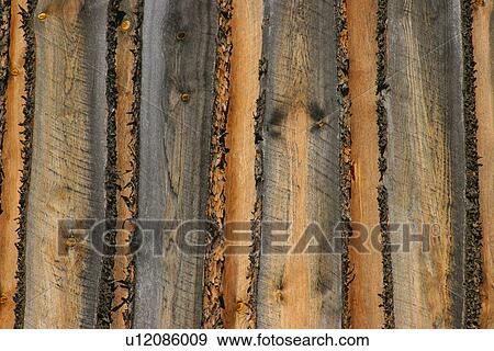 Stock Photo - Texture of wood. Fotosearch