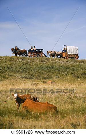Traveling by horse and carriage View Large Photo Image Stock Image - Traveling by horse and carriage. Fotosearch