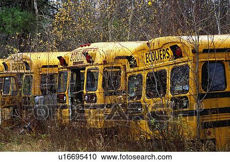 Useless school buses View Large Photo Image Stock Image - Useless school buses. Fotosearch