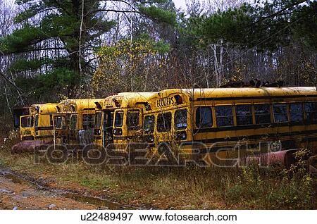 Stock Photo - Useless school buses. Fotosearch