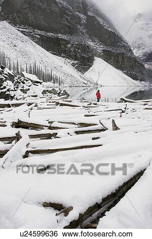 Stock Photograph - Winter scene. Fotosearch