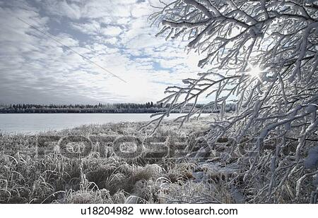 Winter scenic View Large Photo Image Stock Image - Winter scenic. Fotosearch
