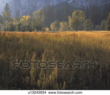 Yosemite National Park View Large Photo Image Picture - Yosemite National Park. Fotosearch