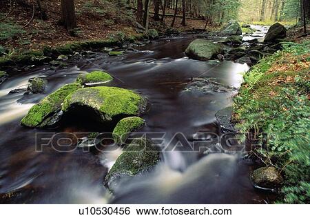 Stock Photograph - A rushing brook. Fotosearch