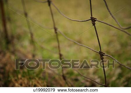 Stock Photo - A rusted old fence. Fotosearch