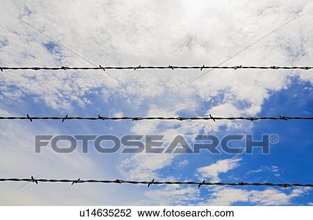 Stock Image - Barbed wire fence across the sky. Fotosearch