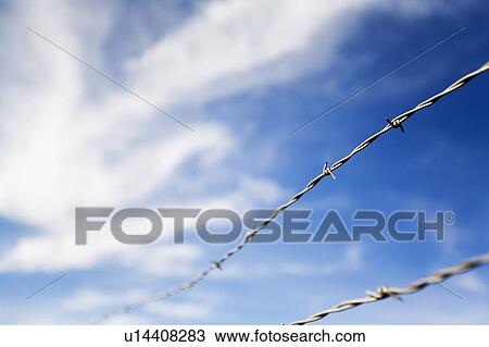 Barbed wire fence and blue sky View Large Photo Image Stock Image - Barbed wire fence and blue sky. Fotosearch