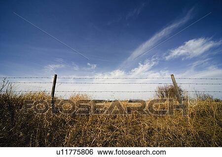 Stock Photograph - Barbed-wire fence between land and sky. Fotosearch