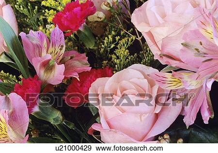 Bouquet of flowers View Large Photo Image Stock Photo - Bouquet of flowers. Fotosearch