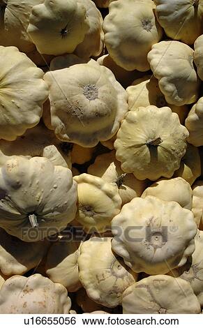 Close-up of Squash View Large Photo Image Stock Photograph - Close-up of Squash. Fotosearch
