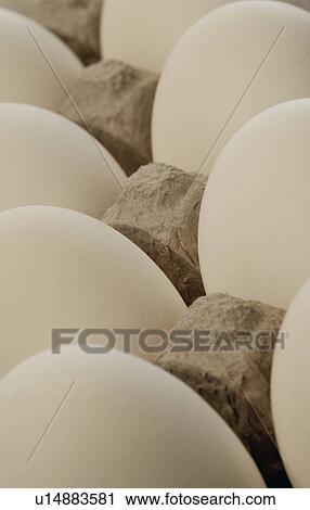 Closeup of egg carton View Large Photo Image Stock Image - Closeup of egg carton. Fotosearch